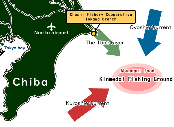 Choshi offshore fishing ground